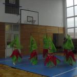 vystoupení_tanečních_kroužků_2015_3