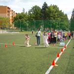 den_deti_2015_1