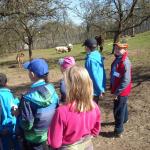 chaloupky_3.A_3.B_2016_059